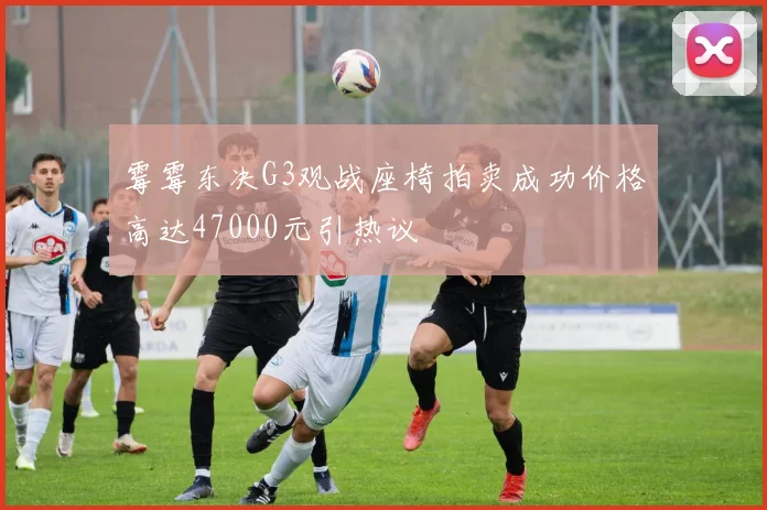 霉霉东决G3观战座椅拍卖成功价格高达47000元引热议