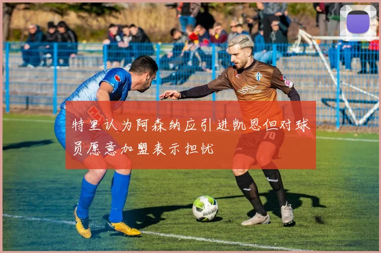特里认为阿森纳应引进凯恩但对球员愿意加盟表示担忧